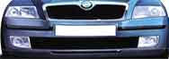 skoda_tuning